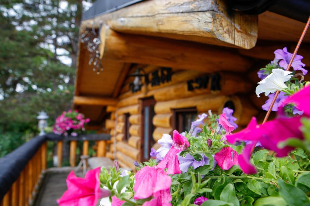 Casa Baciu Hotel ฟุนดูโมลโดเว ภายนอก รูปภาพ